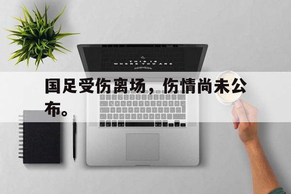 海德官方网址-国足受伤离场，伤情尚未公布。
