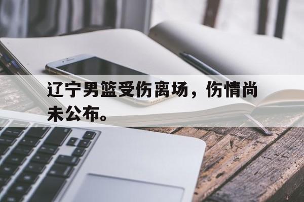 海德官方aap下载-辽宁男篮受伤离场，伤情尚未公布。