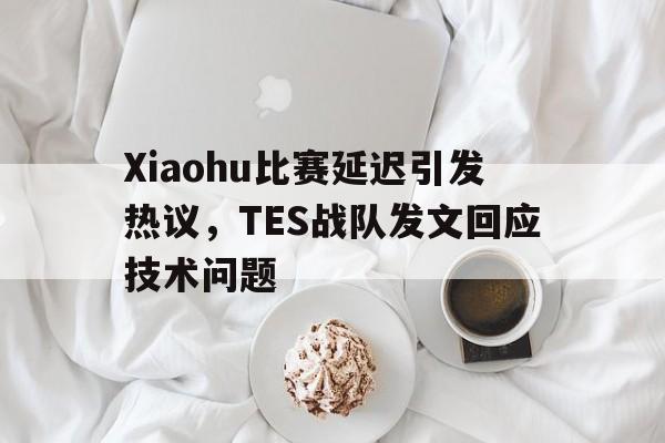 海德官方aap下载-Xiaohu比赛延迟引发热议，TES战队发文回应技术问题