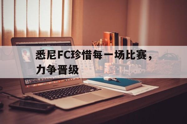 海德官方网站-悉尼FC珍惜每一场比赛，力争晋级
