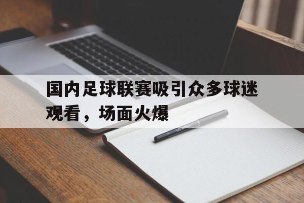 海德官方网站-国内足球联赛吸引众多球迷观看，场面火爆